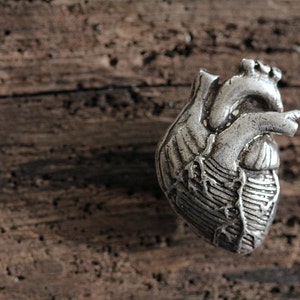 Anatomical Heart Cabinet Hardware, Antique Silver Made in NYC image 2