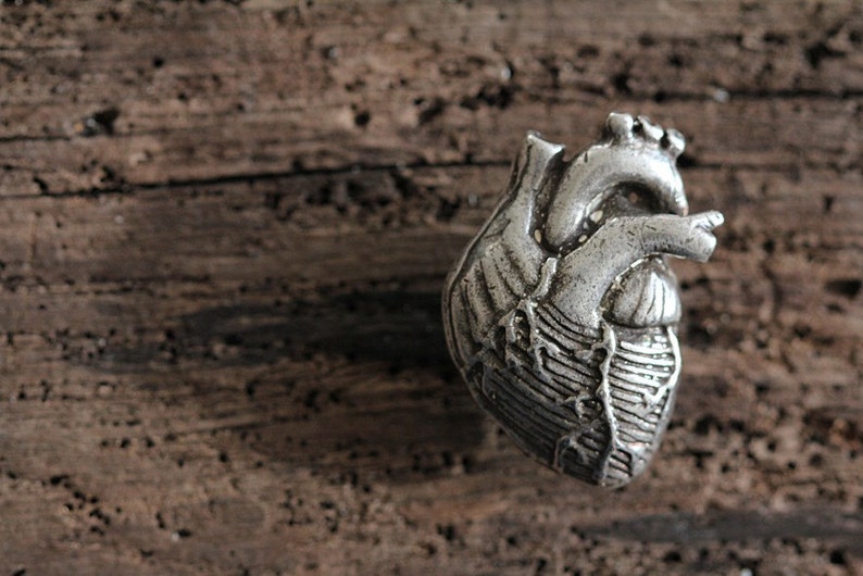 Anatomical Heart Cabinet Hardware, Antique Silver Made in NYC image 2