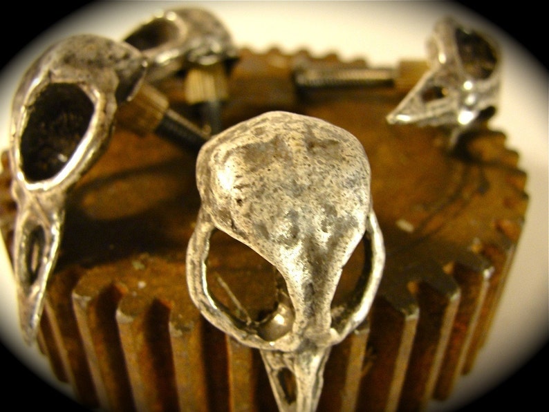 Metal Bird Skull Cabinet Knob cast metal. Antique silver plate. Made in NYC Price is per knob image 10