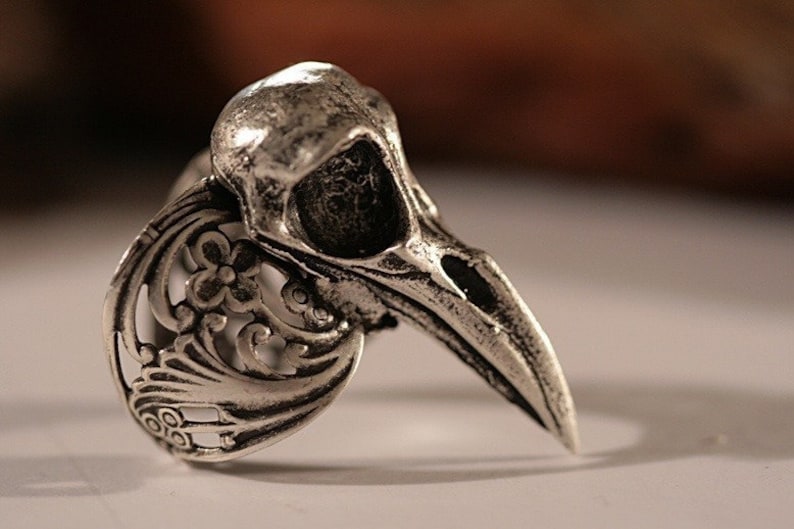 Puede incluir: Un anillo plateado con un dise&ntilde;o de calavera de p&aacute;jaro. El anillo tiene una est&eacute;tica detallada de inspiraci&oacute;n g&oacute;tica, con un patr&oacute;n floral calado en la banda. La calavera tiene un pico largo y puntiagudo y cuencas de los ojos detalladas.