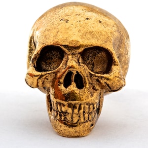 Pomello per mobile a forma di teschio placcato in oro: ferramenta in peltro fatta a mano