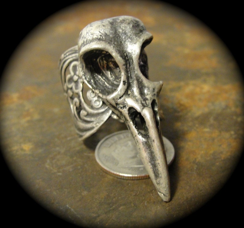 Puede incluir: Un anillo plateado con un dise&ntilde;o de calavera de p&aacute;jaro. El anillo tiene intrincados detalles florales en la banda y un pico largo y puntiagudo. El anillo se muestra junto a una moneda para comparar el tama&ntilde;o.