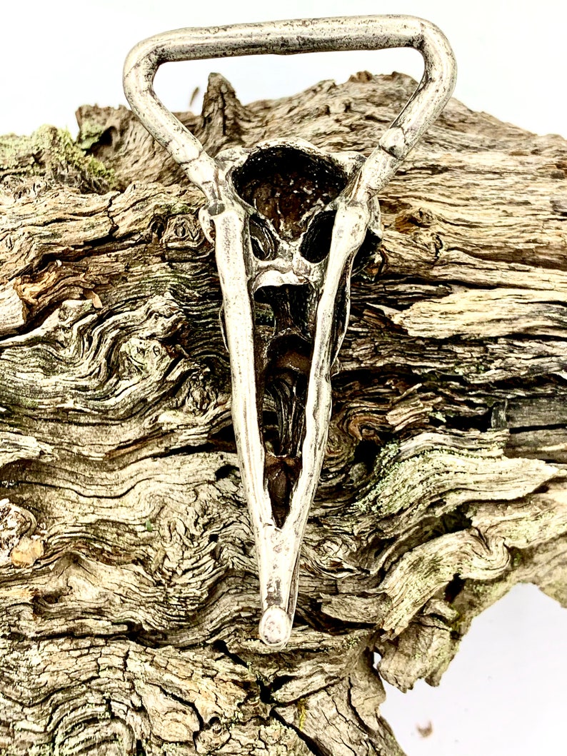Crow skull belt buckle life sized in solid pewter silver plated made in NYC