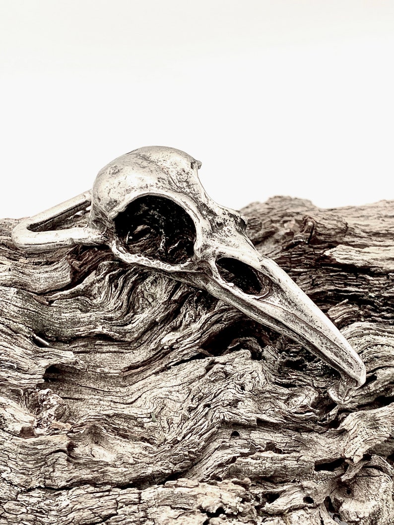 Crow skull belt buckle life sized in solid pewter silver plated made in NYC