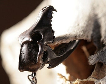 May include: A detailed, silver-toned metal skull pendant with a chain. The skull has a sharp, pointed jaw and a detailed, open mouth.
