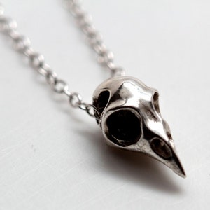 Kleine Vogelschädel-Halskette, silberner Vogelschädel, hergestellt in NYC Bild 1