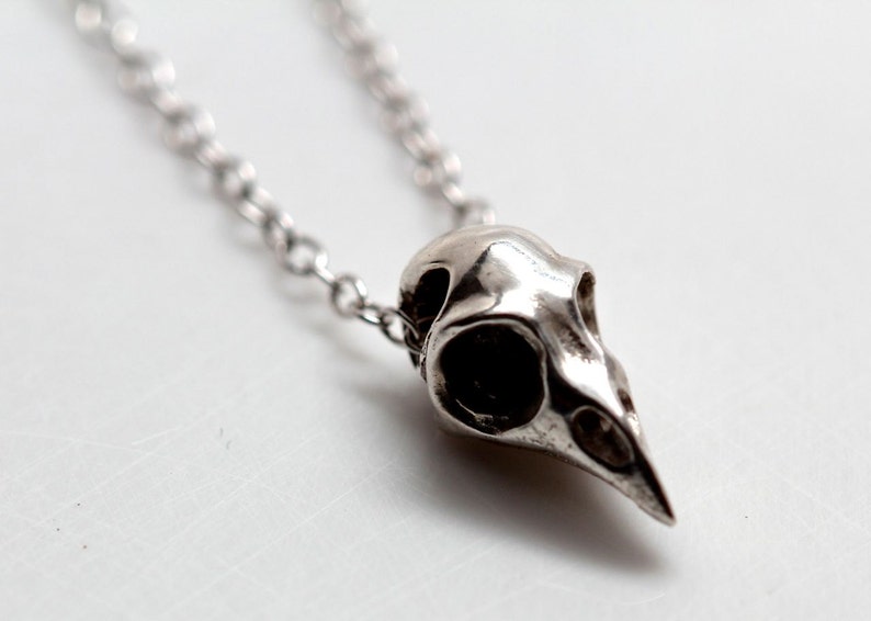 Kleine Vogelschädel-Halskette, silberner Vogelschädel, hergestellt in NYC Bild 1