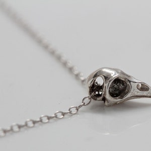 Small Bird Skull Necklace, Silver Bird Skull Made in NYC image 3