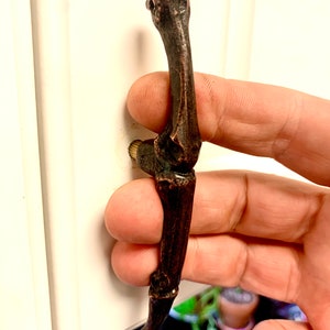 Skeleton  Middle Finger Drawer Pull Cabinet Knob Copper Oxide Plated Made in NYC