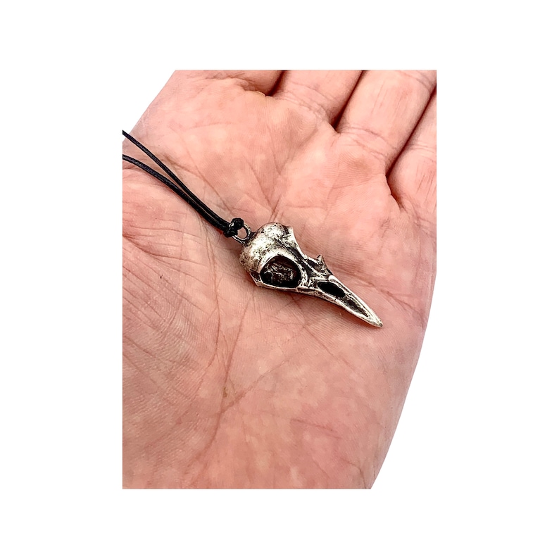 May include: Silver bird skull pendant necklace with a black leather cord. The pendant is detailed and realistic, with a textured surface and a pointed beak.