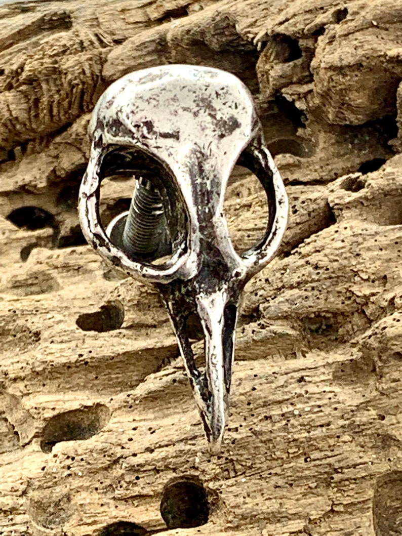 Metal Bird Skull Cabinet Knob cast metal. Antique silver plate. Made in NYC Price is per knob image 6