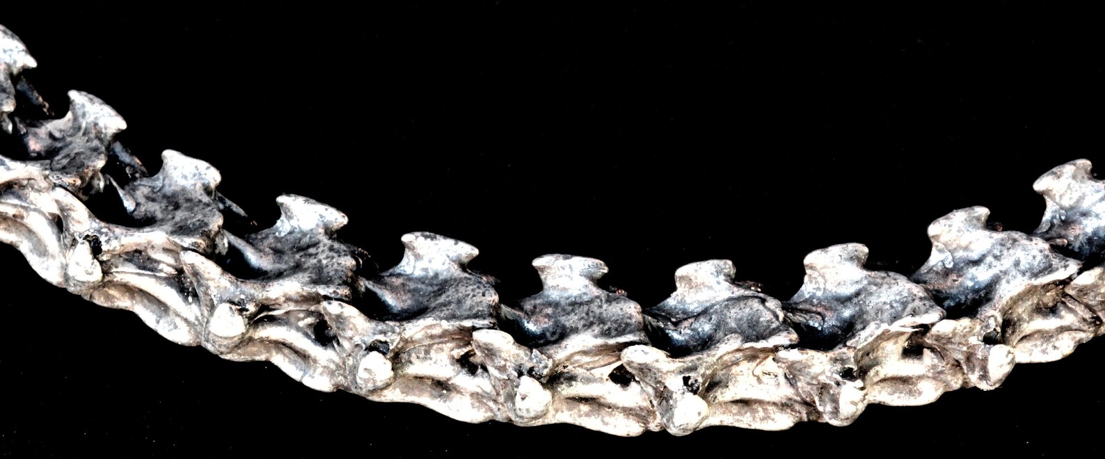 Big Snake Vertebrae Necklace Cast Metal Made in NYC Etsy
