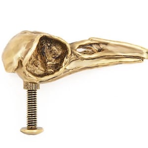 Crow Skull Cabinet Knob made in NYC gold plated Blue Bayer Design NYC