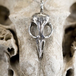May include: A silver bird skull pendant necklace on a silver chain. The pendant is hanging from a white bone-like surface.