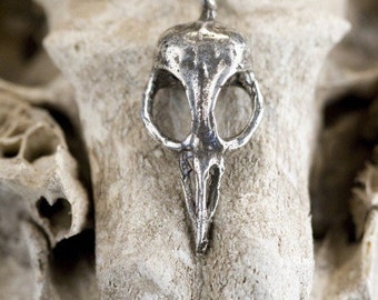 Bellatrix Bird Skull Necklace,Free US Shipping  Bird Skull Jewelry, made in NYC, Blue Bayer Design