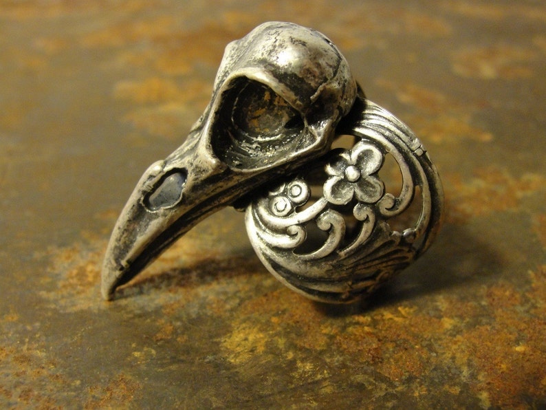 Puede incluir: Anillo plateado con un dise&ntilde;o detallado de calavera de cuervo. El anillo incluye una banda adornada con motivos florales. El pico y las cuencas de los ojos de la calavera est&aacute;n claramente definidos, mostrando una est&eacute;tica g&oacute;tica o alternativa.