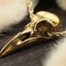 see more listings in the Bird Skulls section