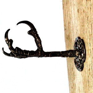May include: A black metal hook shaped like a bird's claw. The hook is mounted on a wooden surface.