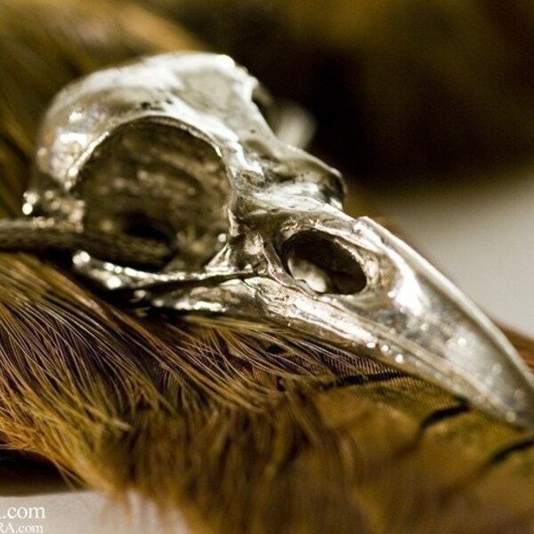 Life Sized Crow Skull Cast Metal with Antique Silver Finish on a generous chain Bird Skull Jewelry made in NYC back in stock
