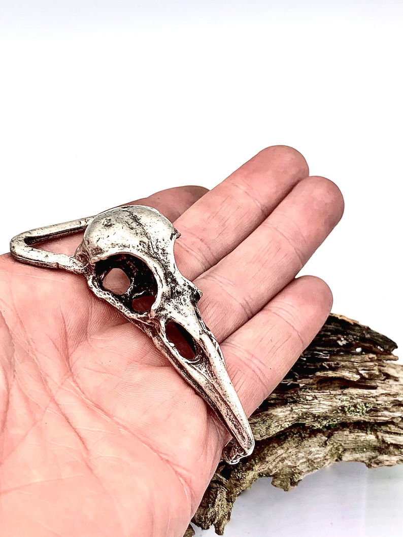Crow skull belt buckle life sized in solid pewter silver plated made in NYC