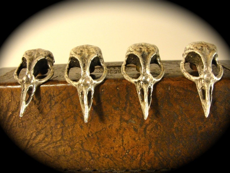 Metal Bird Skull Cabinet Knob cast metal. Antique silver plate. Made in NYC Price is per knob image 8