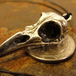 May include: A silver pendant in the shape of a bird skull. The pendant is about the size of a UK 20 pence coin.
