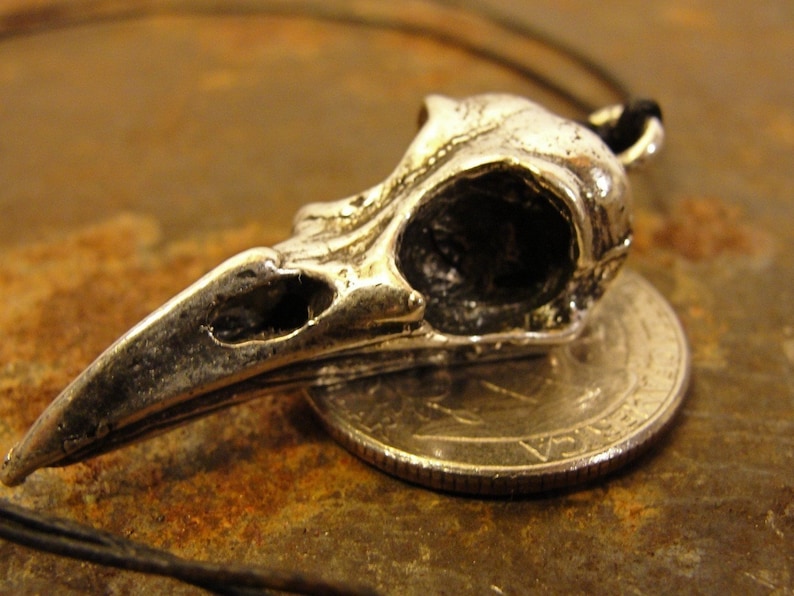 May include: A silver pendant in the shape of a bird skull. The pendant is about the size of a UK 20 pence coin.