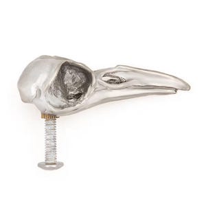 Crow skull cabinet knob made in NYC silver finish