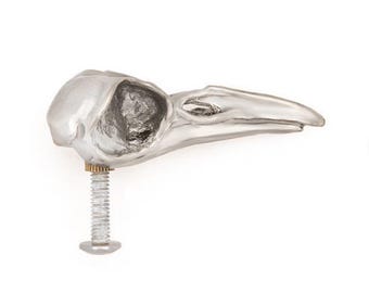 Crow skull cabinet knob made in NYC silver finish