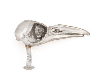 Crow skull cabinet knob made in NYC silver finish