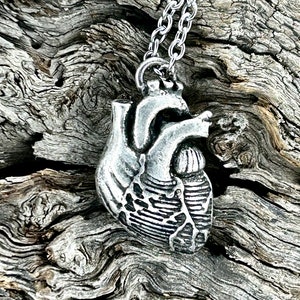 Anatomical Heart Necklace Made in NYC buy online image 7
