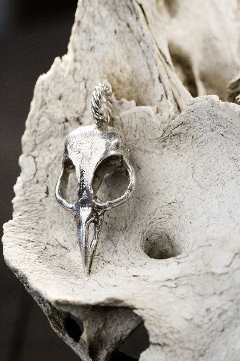 Bellatrix Bird Skull Necklace,Free US Shipping Bird Skull Jewelry, made in NYC, Blue Bayer Design image 4