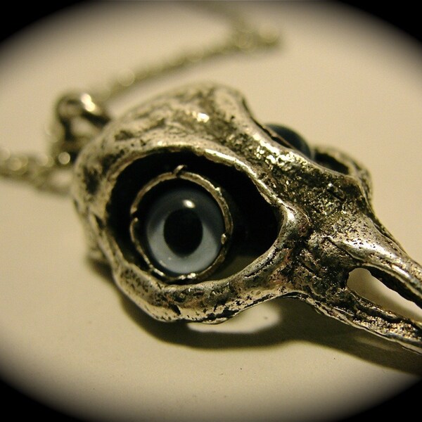 Blue eyed bird skull silver plated on a nice chain made in NYC