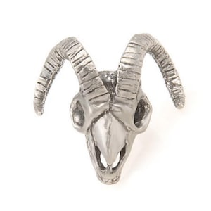 Peut inclure: Un crâne de bélier argenté avec des cornes détaillées. Le crâne est un objet décoratif.