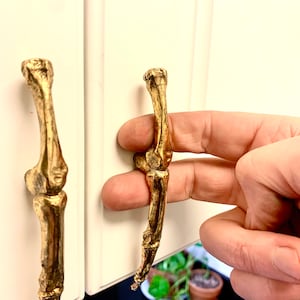 Pode incluir: Puxadores de armário dourados em forma de ossos humanos. Os puxadores estão fixados a uma porta de armário branca. As maçanetas em forma de osso adicionam um toque único e macabro ao armário.