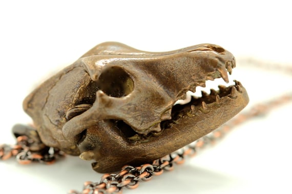 Wolf Schadel Halskette Beweglichen Kiefer Bronze Hergestellt Etsy