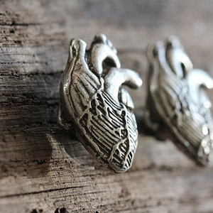 Anatomical Heart Cabinet Hardware, Antique Silver Made in NYC image 3