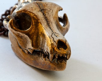 May include: A gold-toned metal pendant shaped like an animal skull. The skull has detailed features, including teeth and eye sockets.