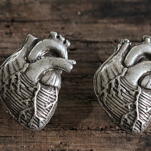 Anatomical Heart Cabinet Hardware, Antique Silver Made in NYC image 1