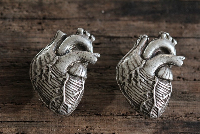 Anatomical Heart Cabinet Hardware, Antique Silver Made in NYC image 1