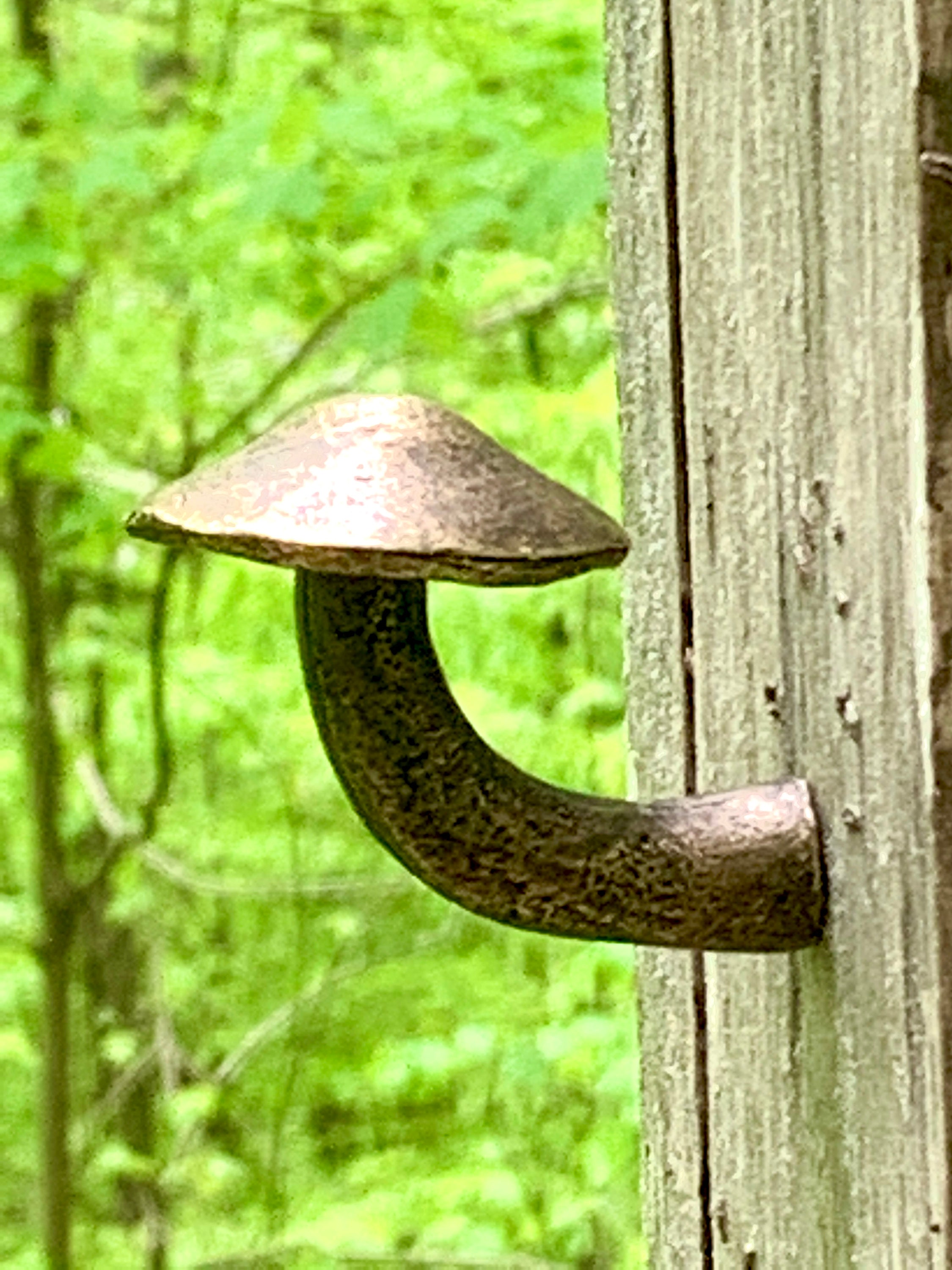 Mushroom Wall Hook Solid Metal Bronze Plated Pewter Made in NYC Blue Bayer Design Etsy