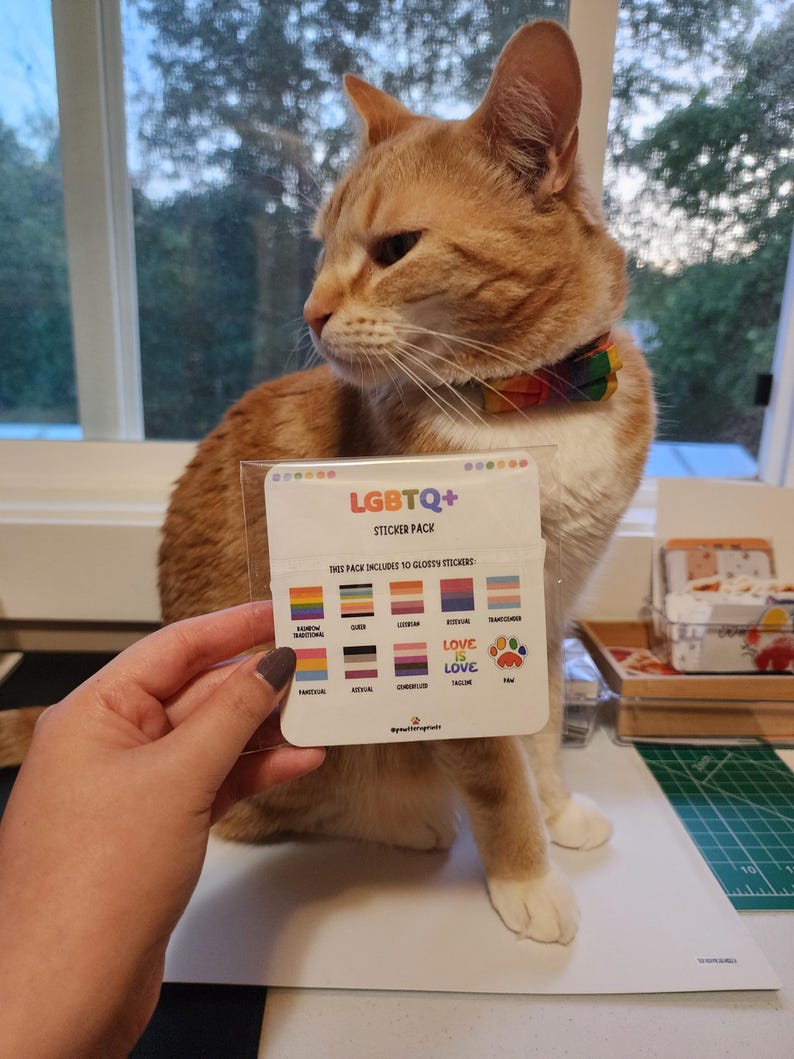 LGBTQ Pride Cat Sticker Pack | Sticker Bundle | Love is Love | Glossy ...