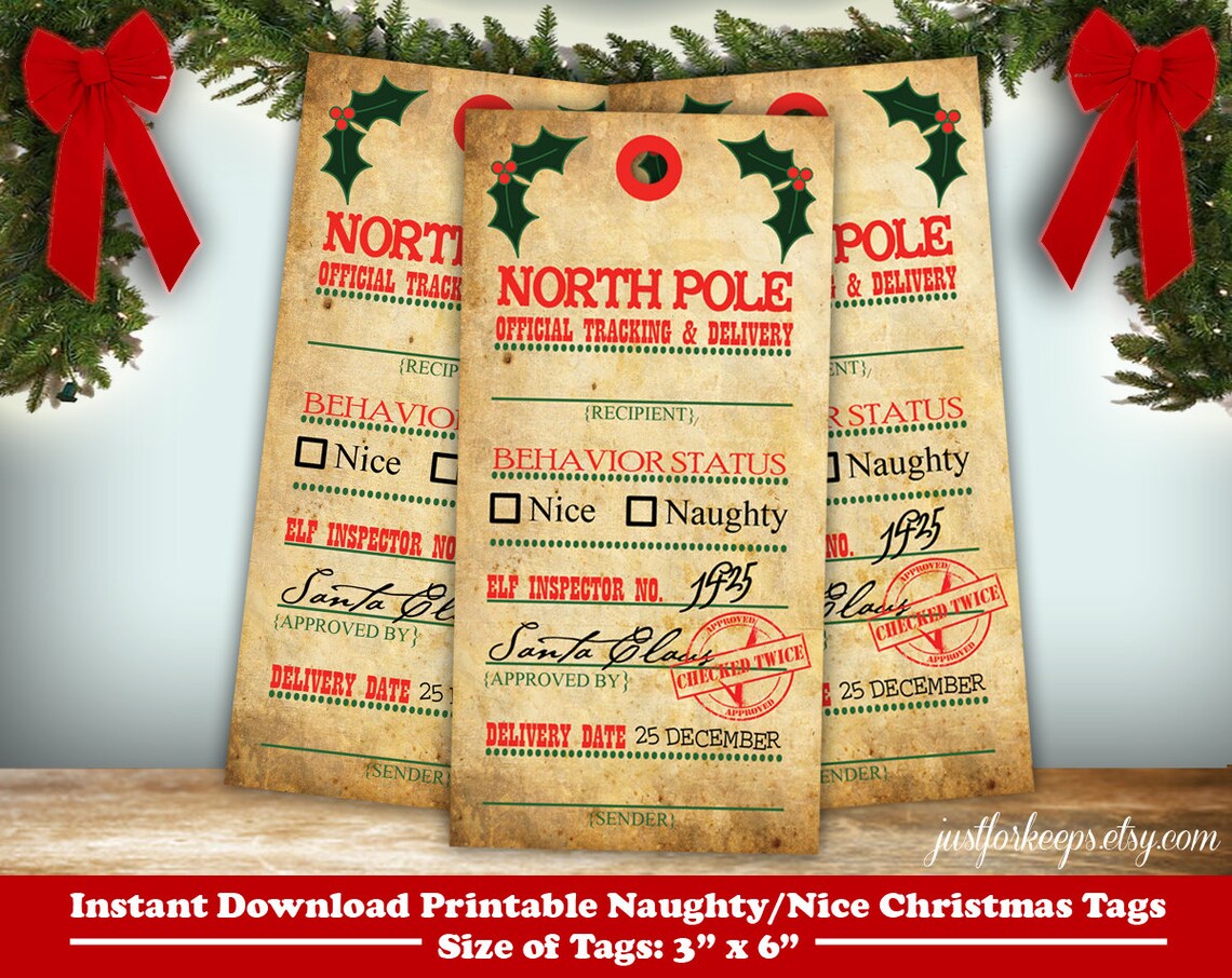 Printable Christmas Tags Instant Download Naughty Nice - Etsy