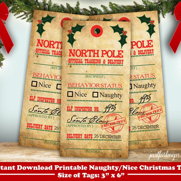 Naughty or Nice Tags - Etsy