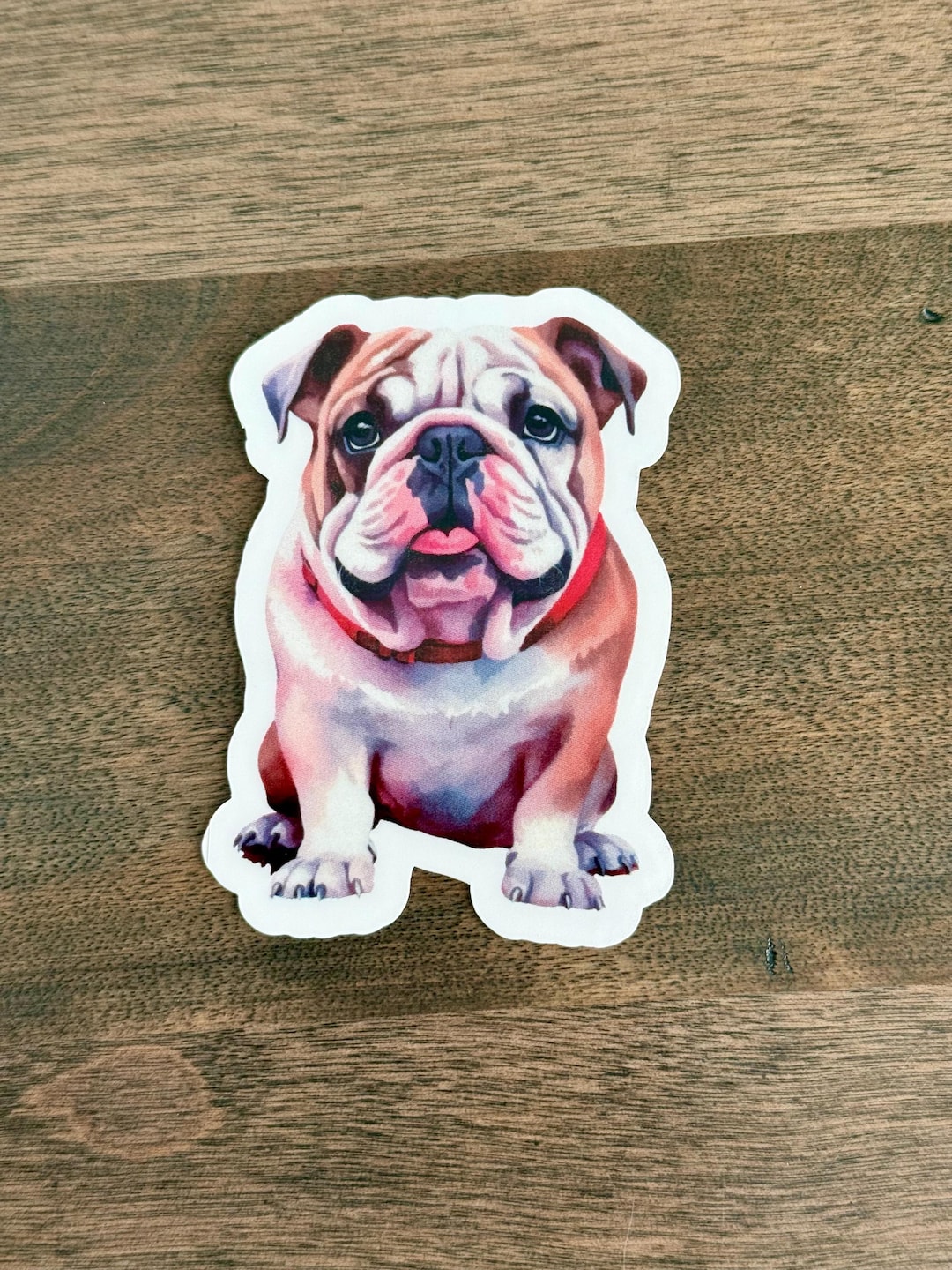 English Bulldog Sticker Waterproof Vinyl Decal - Etsy