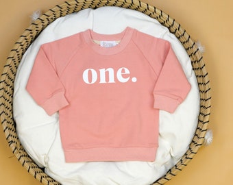 Girls Birthday Sweatshirt with One, Two, or Three. 1st, 2nd, 3rd Birthdays. Girl Birthday Top. Pink Sweatshirt with One on it.