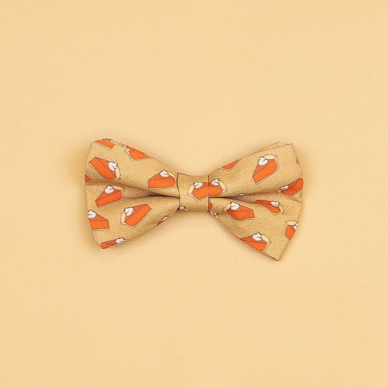 ADD ON. Extra Thanksgiving/Fall Tie or Bowtie for the Oh Snap outfits. Pumpkin Pie Bow