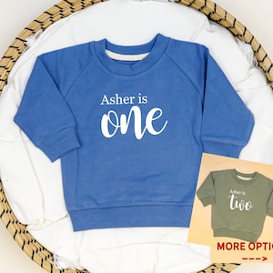 Personalized First Birthday Sweatshirt. 2nd or 3rd. One, Two, Three.Birthday Sweatshirt with Number and Name. Slate Blue Olive Green.