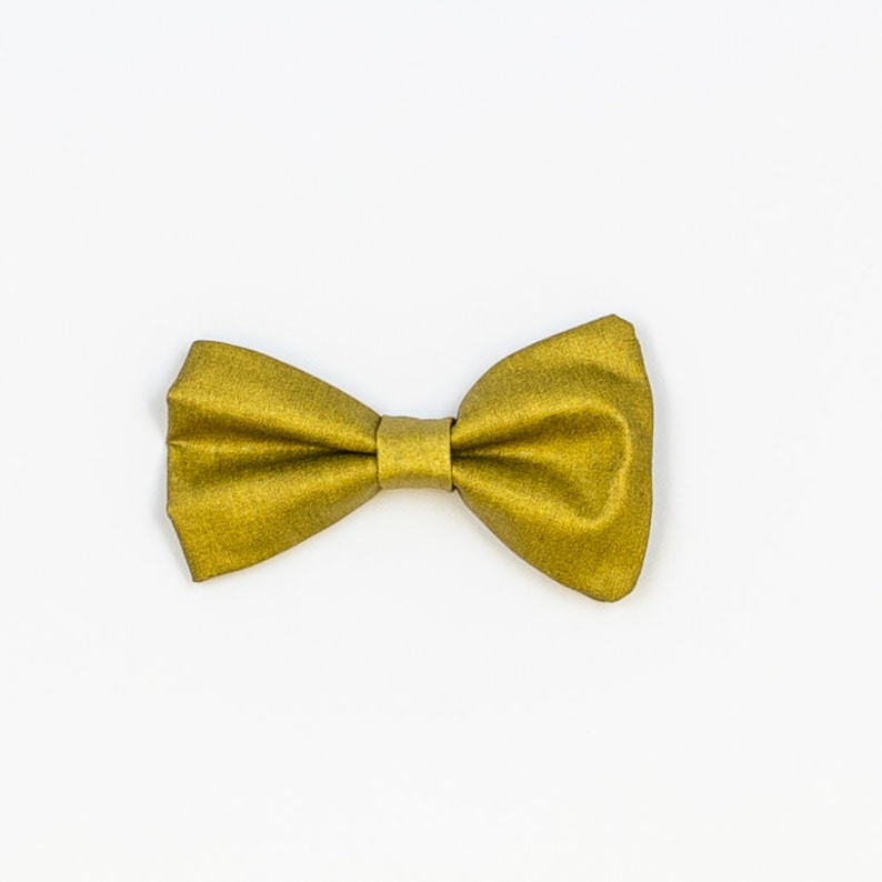 May include: A gold bow tie made of fabric.