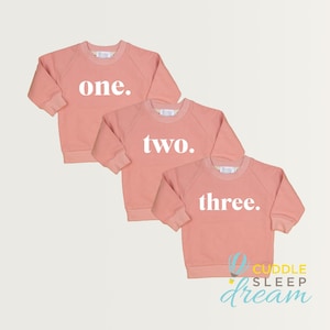 Girls Birthday Sweatshirt with One, Two, or Three. 1st, 2nd, 3rd Birthdays. Girl Birthday Top. Pink Sweatshirt with number on it.